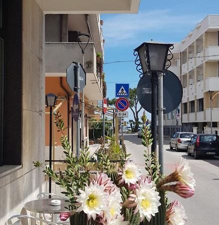 Hotel Blurelda Silvi Marina Dış mekan fotoğraf