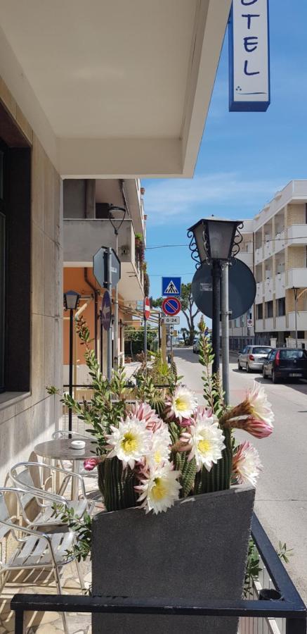Hotel Blurelda Silvi Marina Dış mekan fotoğraf
